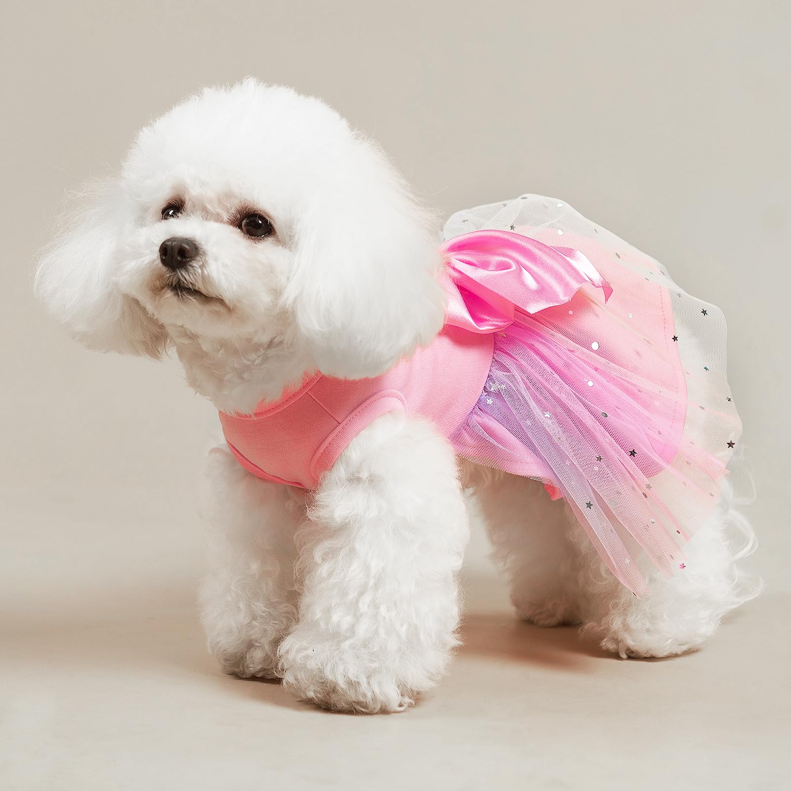 PUPTECK vestido perro talla pequeña, ajuste cómodo