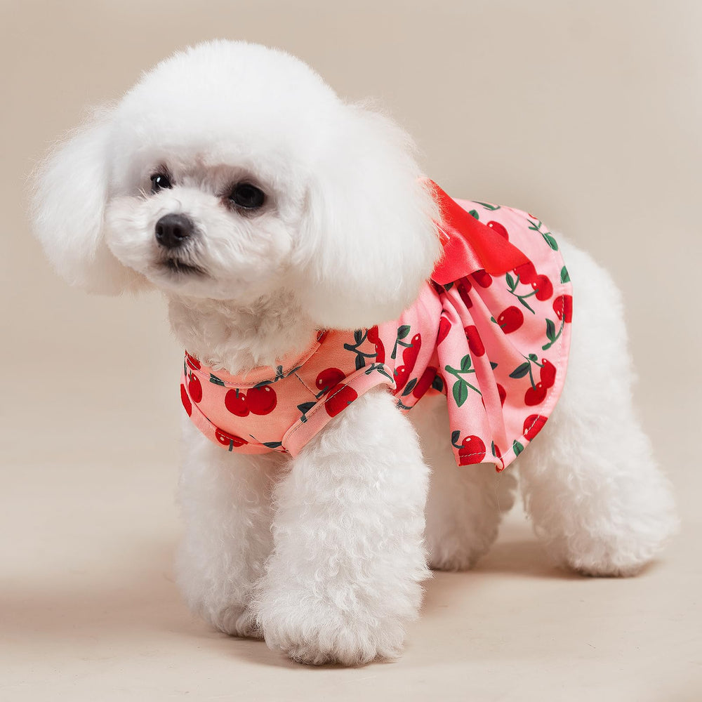 PUPTECK vestido para perro tela suave, suave con la piel