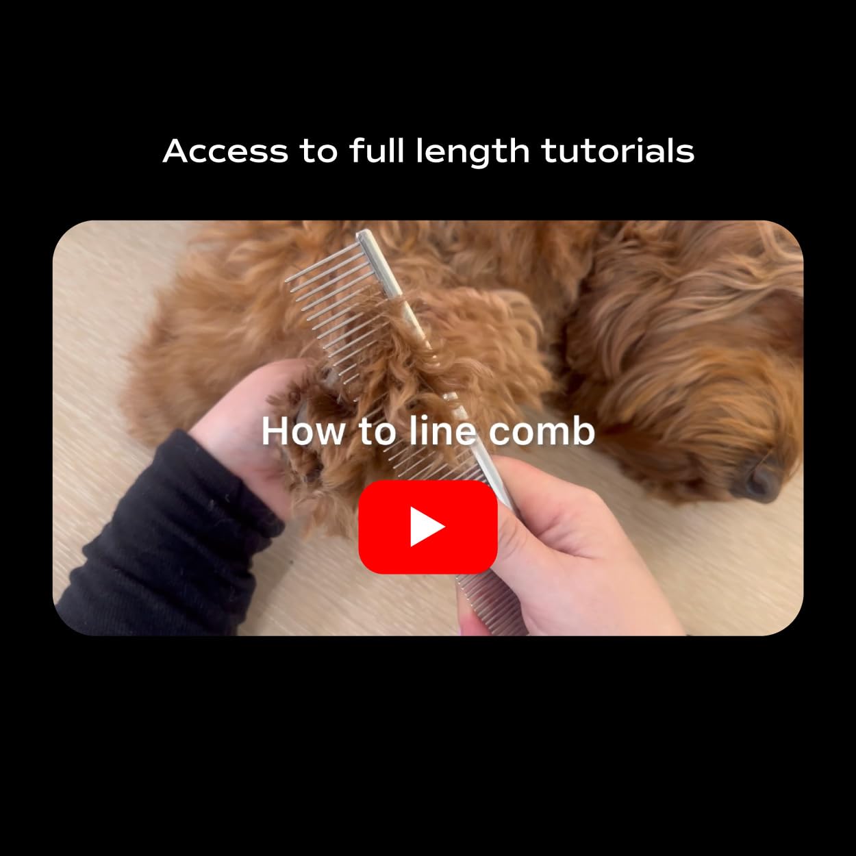 Pupwell: acero inoxidable duradero y diseño ergonómico para uso diario.