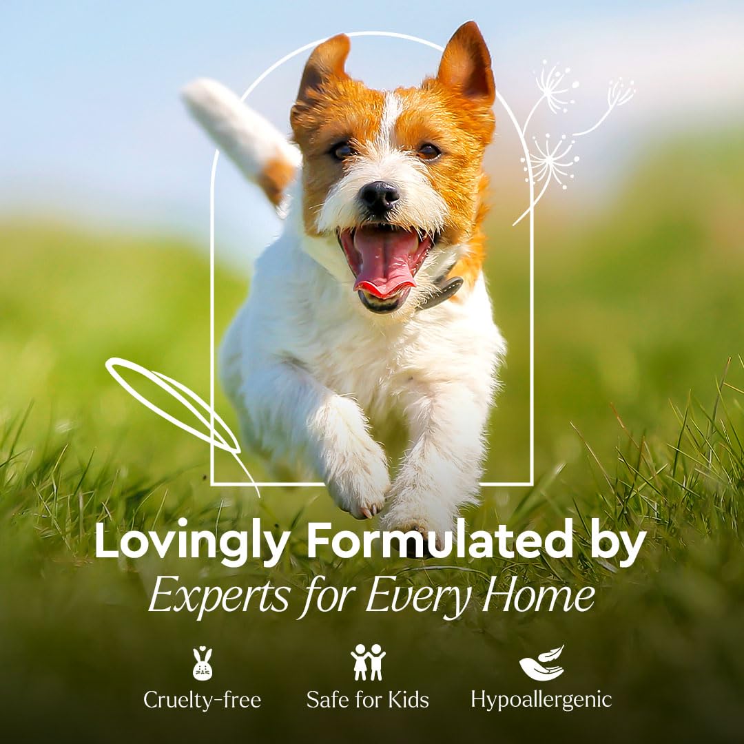 Puracy limpiador enzimático, ideal para camas y tapizados de mascotas