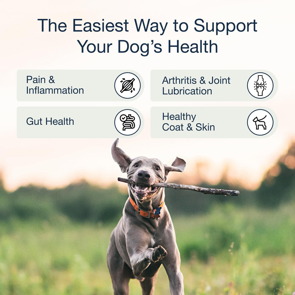 Pure Dogs Hip y Joint: etiqueta destacada con lista de ingredientes