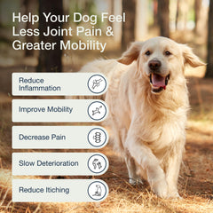 Pure Dogs Hip y Joint: sabor tocino agradable para perros