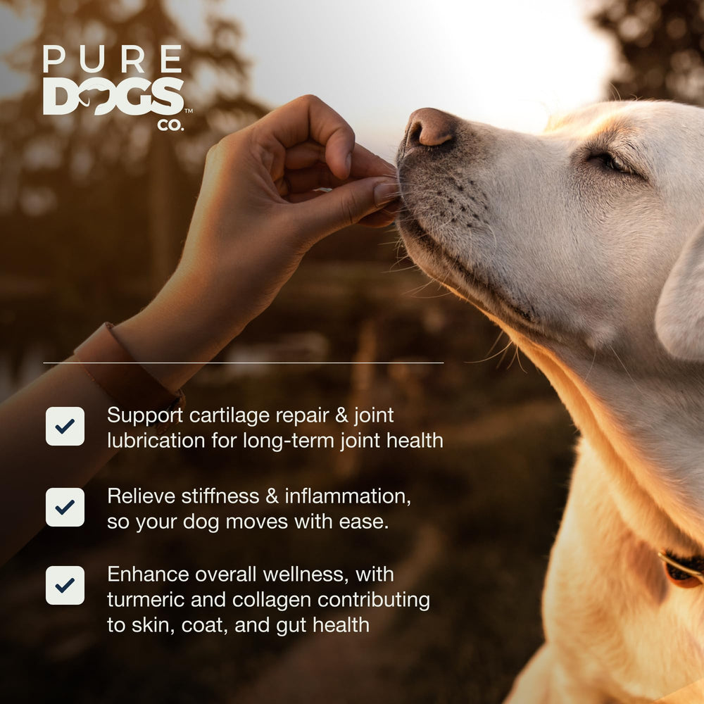 Pure Dogs Hip y Joint: textura masticable en primer plano