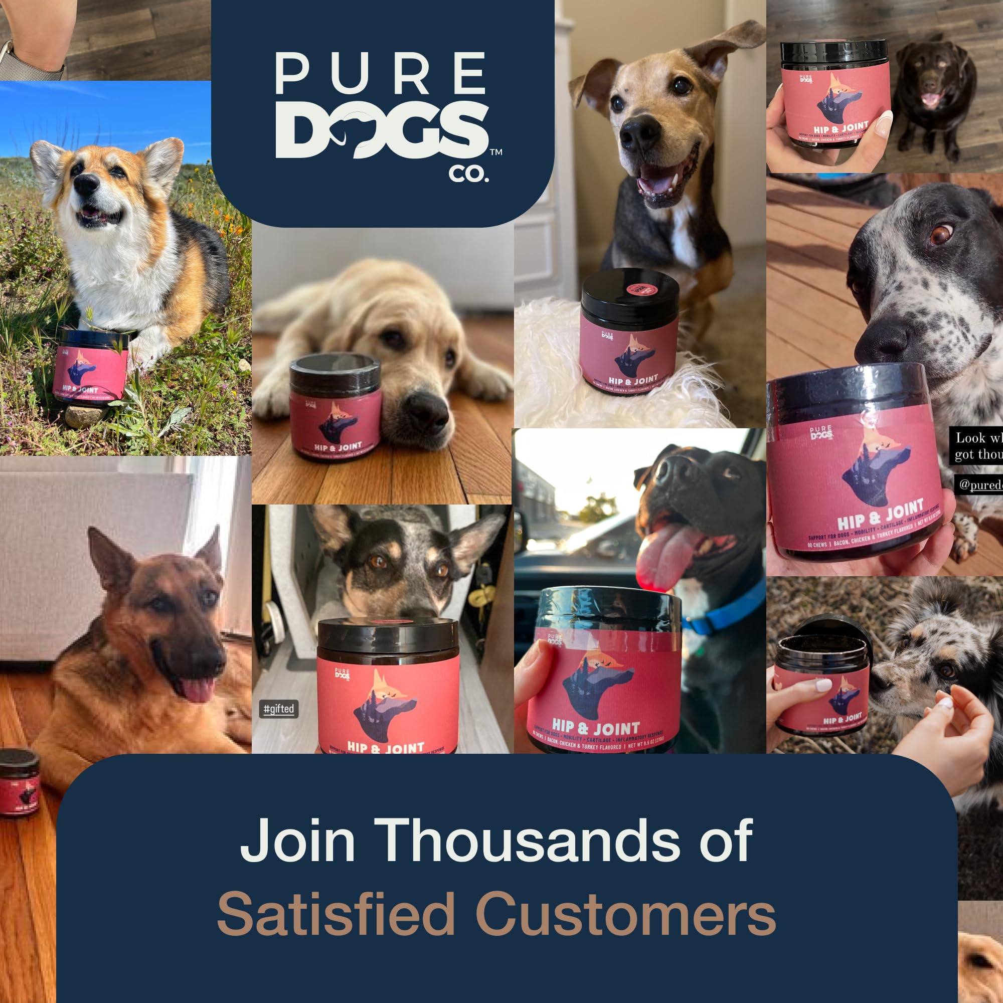Pure Dogs Hip y Joint: uso diario para perros activos