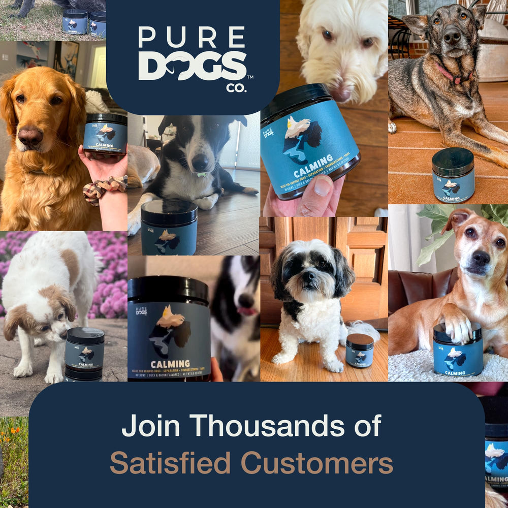 Pure Dogs Co. gomitas calmantes, aptas para viajes para reducir estrés.