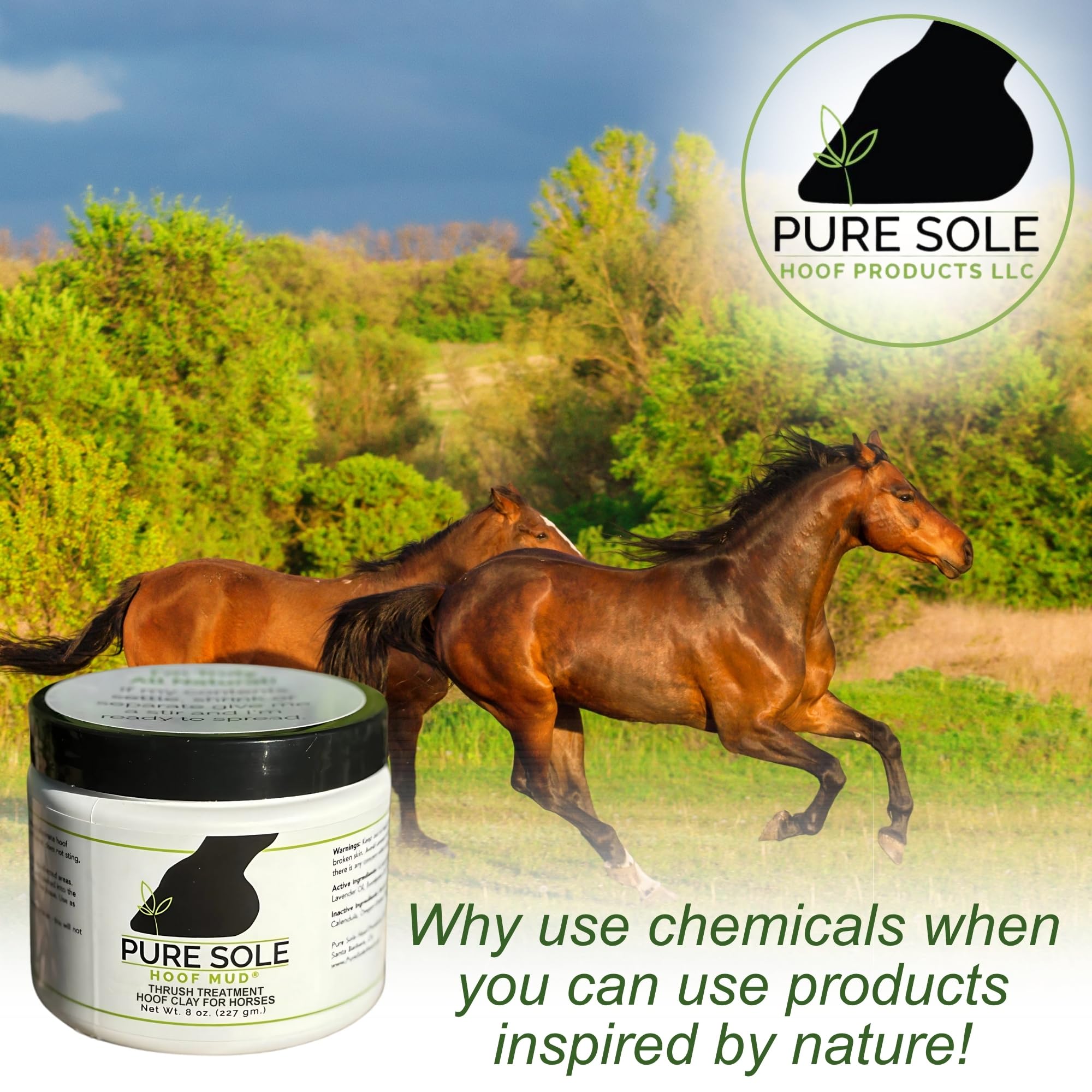 Pure Sole Barro de Casco, tratamiento natural para cascos en cualquier condición.