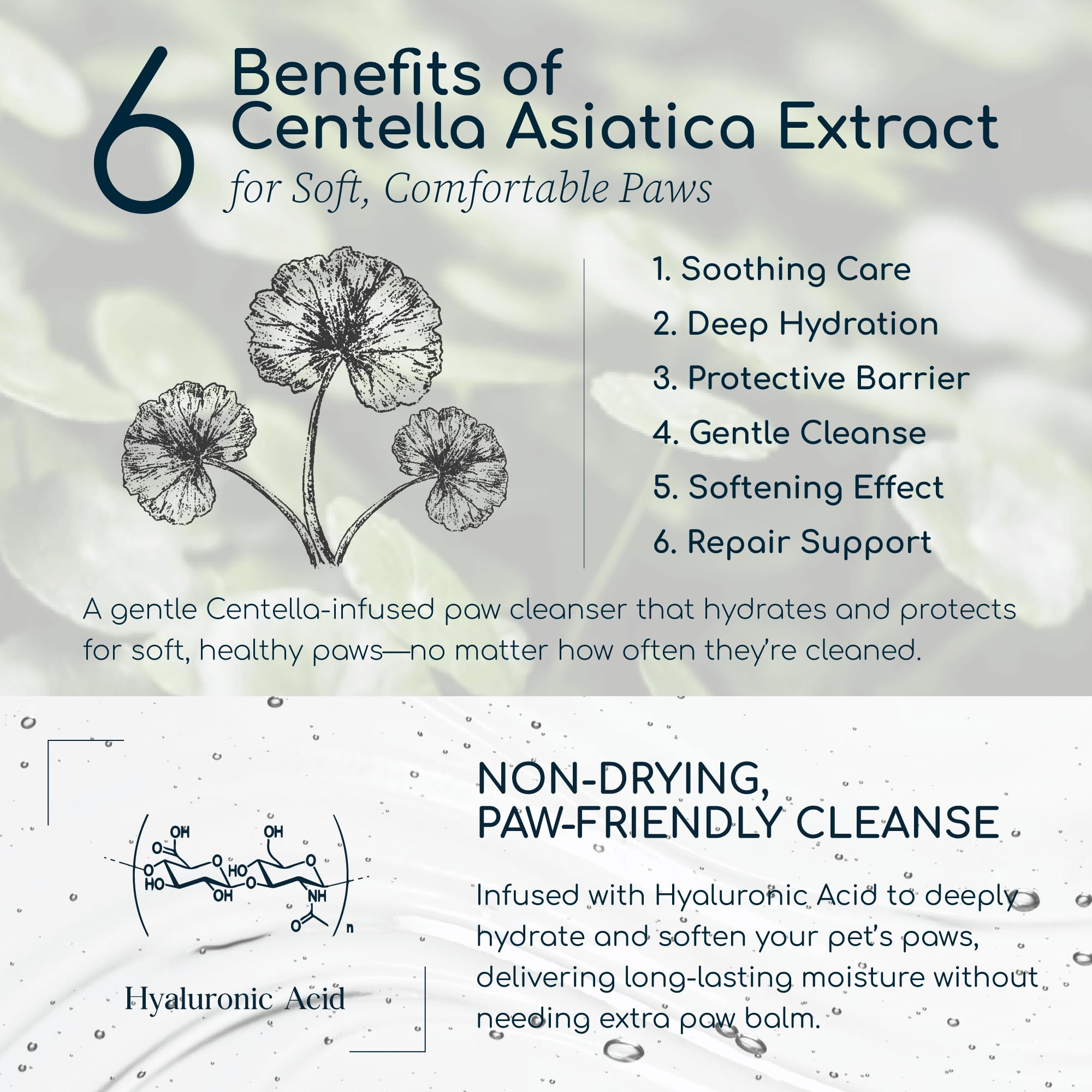 Purebble extractos plantas con mezcla botánica para patitas.