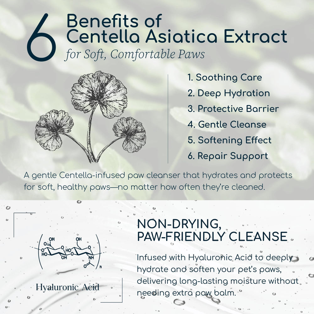 Purebble extractos plantas con mezcla botánica para patitas.