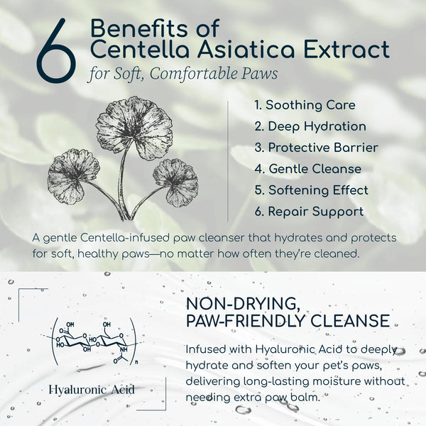 Purebble extractos plantas con mezcla botánica para patitas.