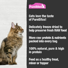 Envase principal de PureBites salmón para gatos, práctico.