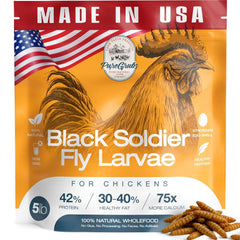 PureGrubs larvas mosca soldado negra secado, proteína para crecimiento de aves.