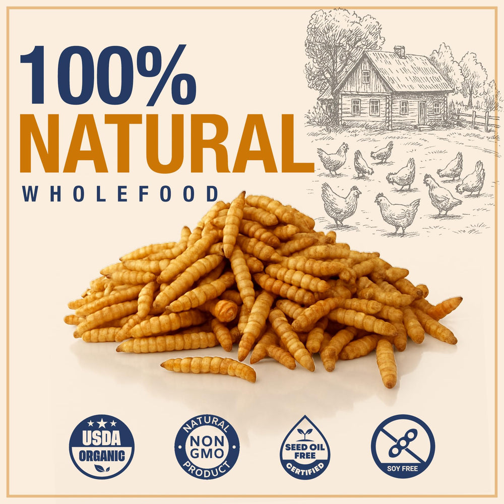 PureGrubs proteína alta 36-42%, ideal para crecimiento y muda de aves.