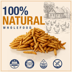 PureGrubs proteína alta 36-42%, ideal para crecimiento y muda de aves.