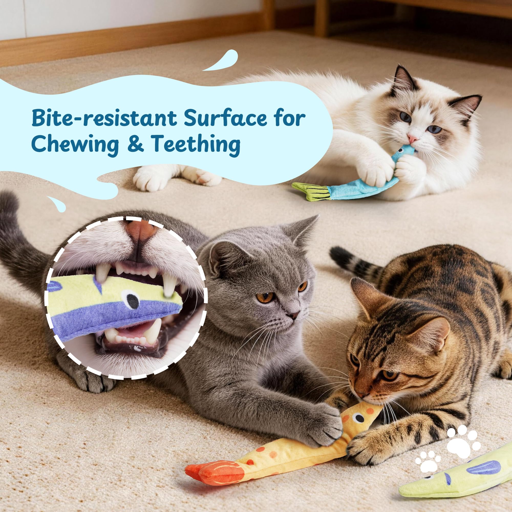 Puretoy Catnip: textura masticable para dientes y encías de gatitos y adultos.