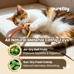 PURETOY frutas naturales en extremos para masticación guiada y atracción extra.