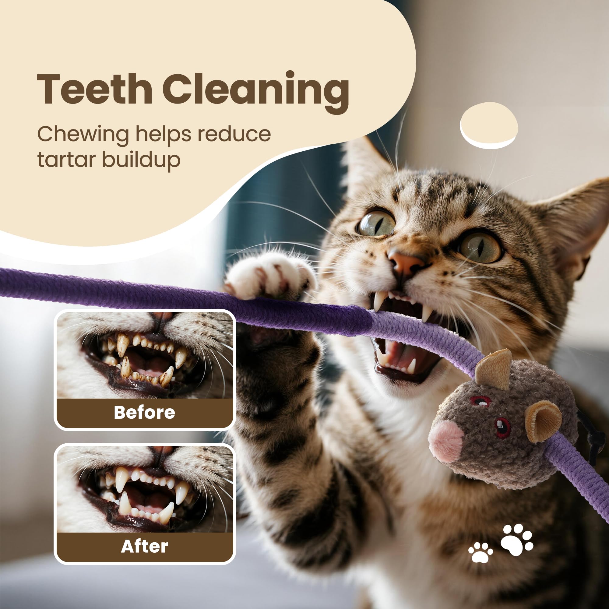 PURETOY tamaño adaptable para gatitos y gatos grandes durante la diversión.