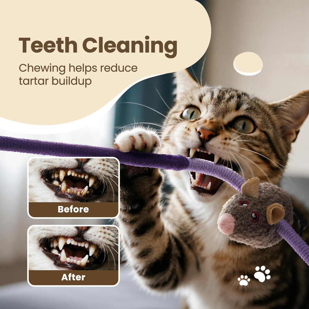 PURETOY tamaño adaptable para gatitos y gatos grandes durante la diversión.
