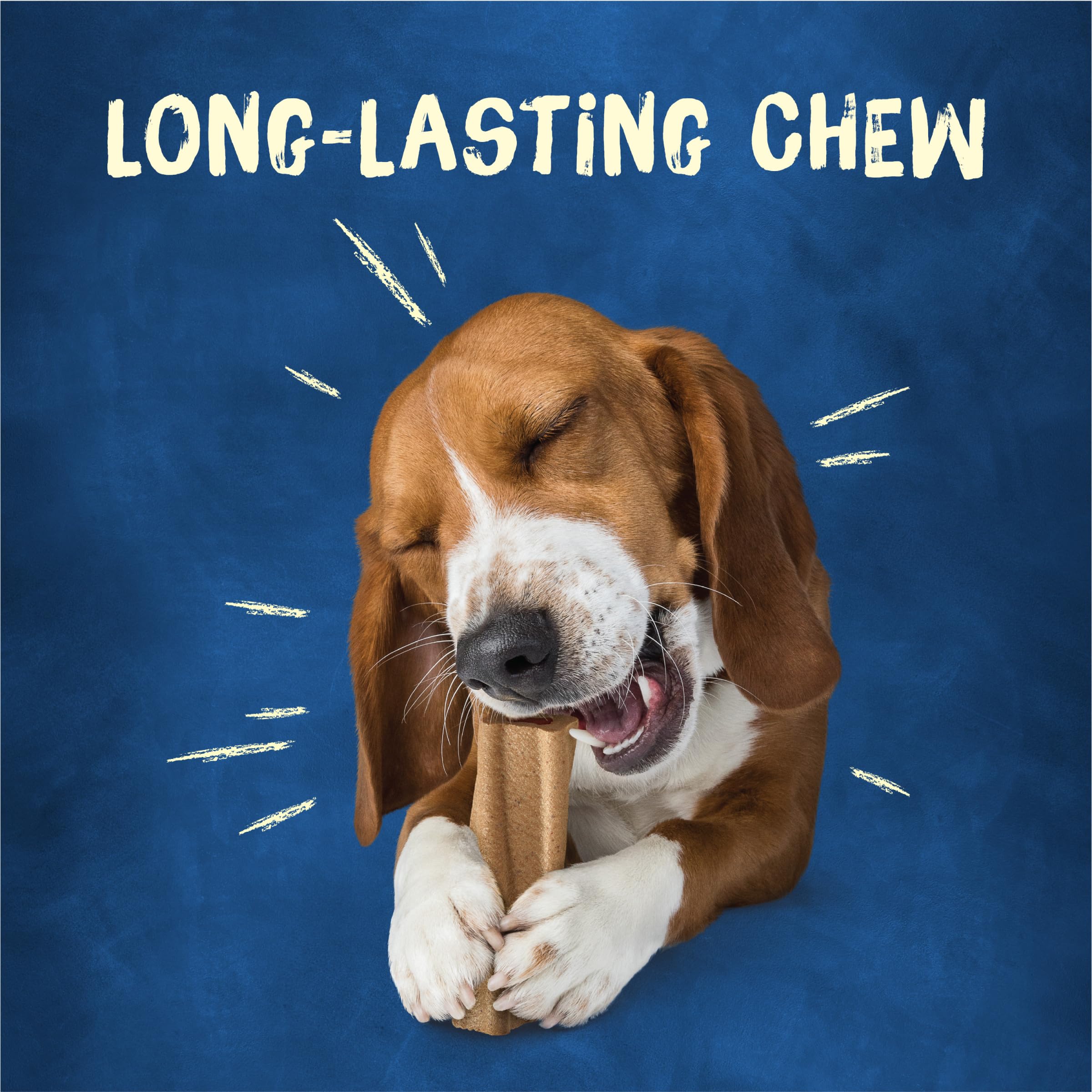 Purina Busy Bone Original 10ct libre de colorantes artificiales para una golosina limpia