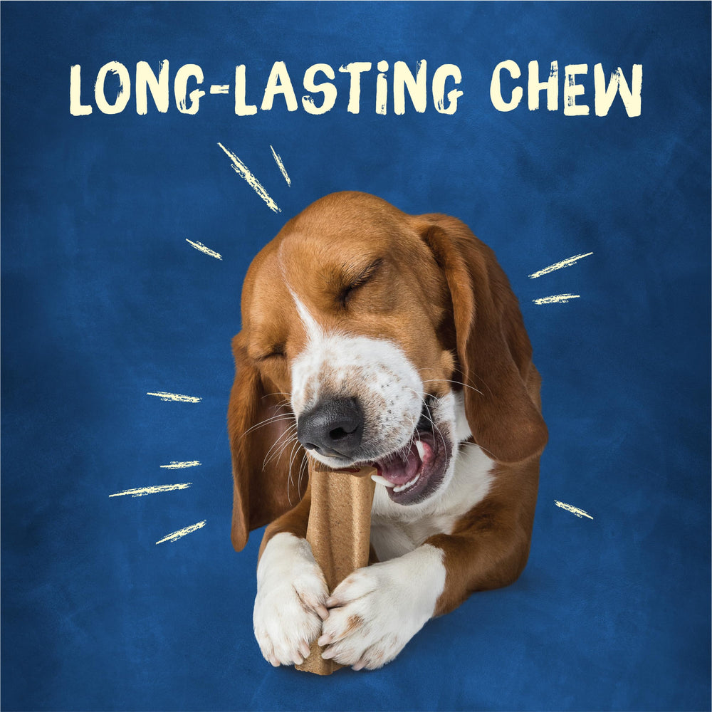 Purina Busy Bone Original 10ct libre de colorantes artificiales para una golosina limpia