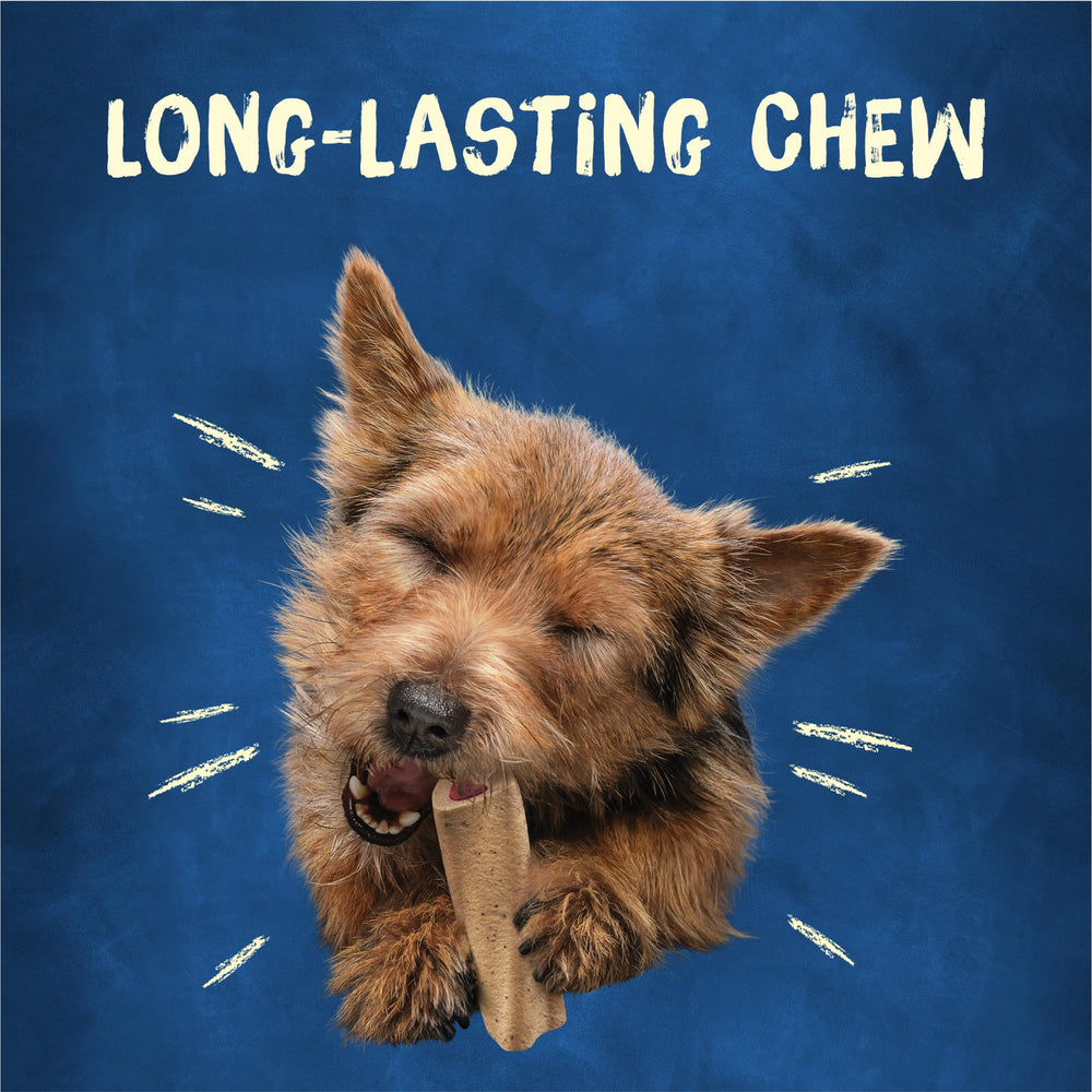 Purina Busy Mini hueso textura firme que limpia dientes.