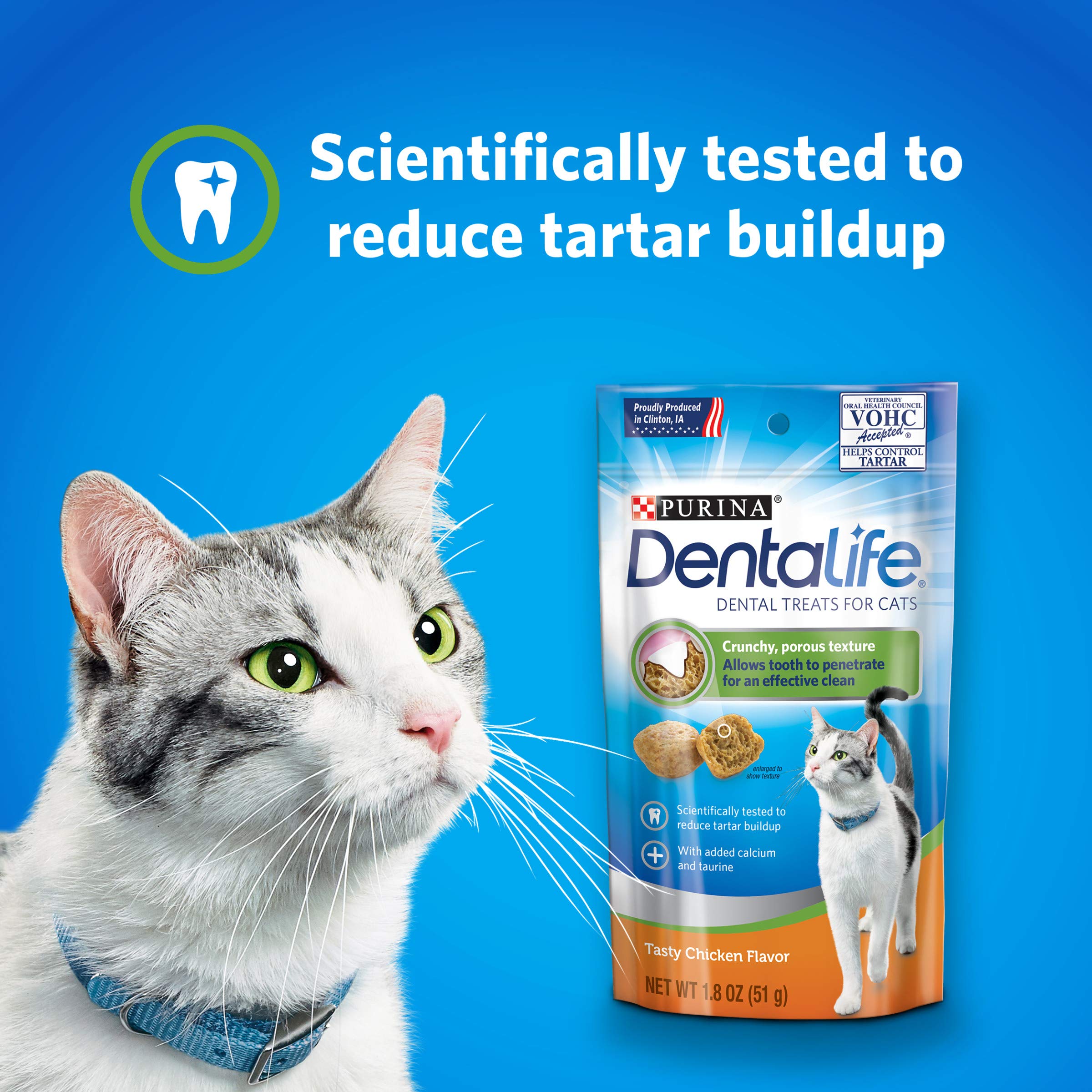 Envase de 13.5 oz de Purina DentaLife para gatos