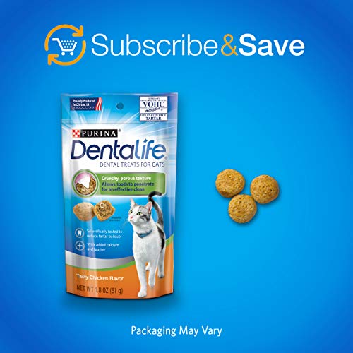 Gato joven aceptando Dentalife para cuidado dental diario