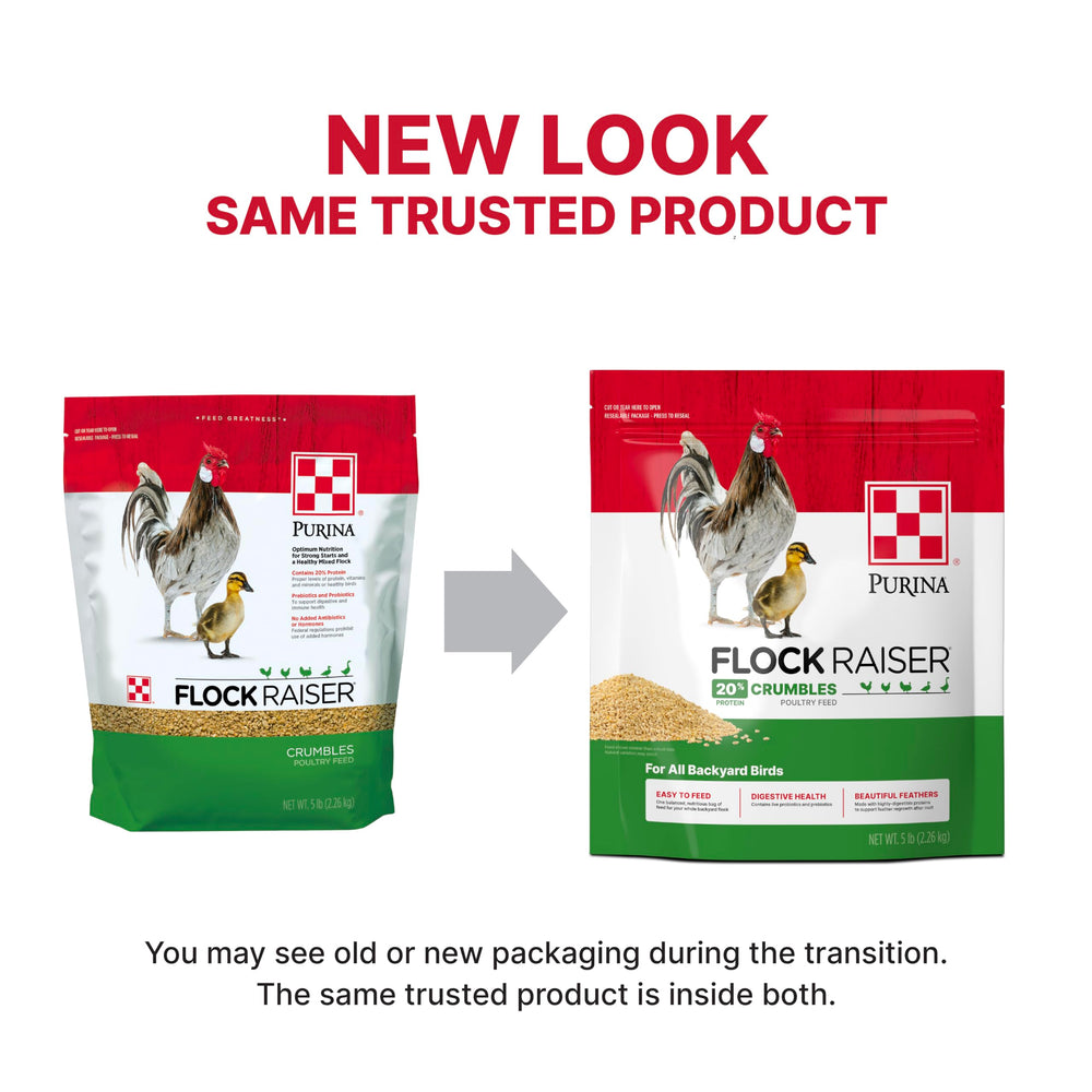 Purina Flock Raiser Crumbles, dos bolsas en paquete para criadores.