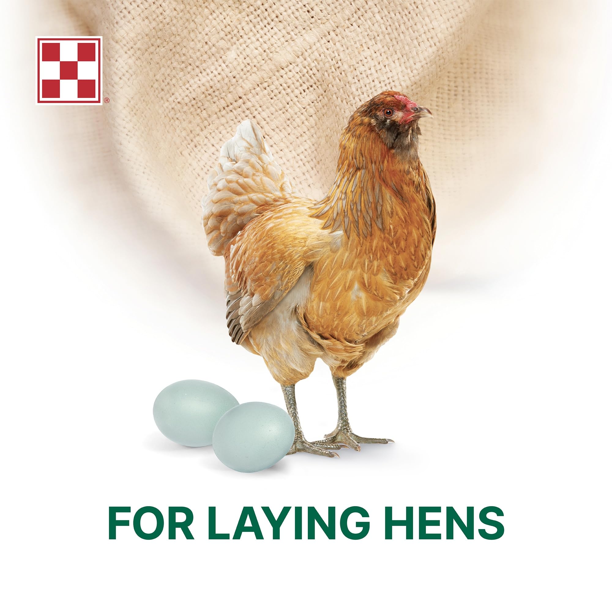 Purina Layena textura crujiente del granulado para ingesta.