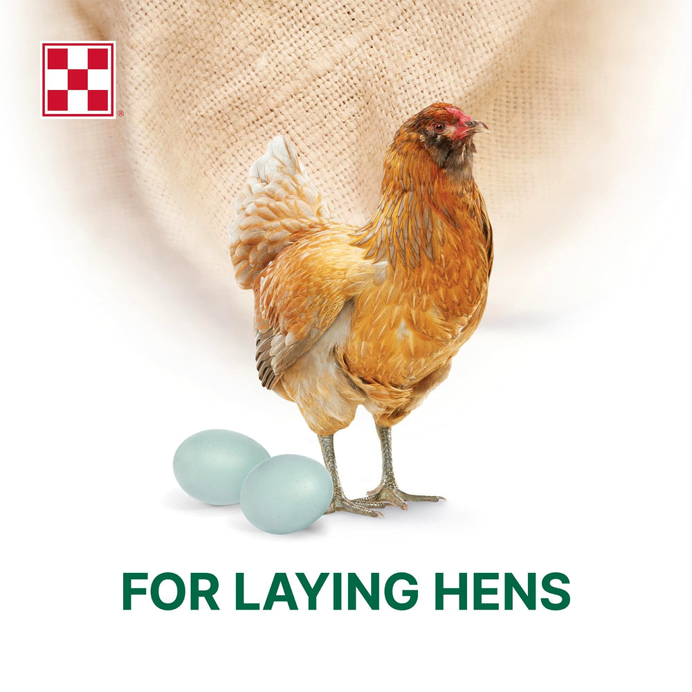 Purina Layena textura crujiente del granulado para ingesta.