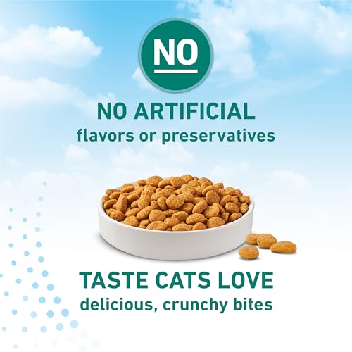 Purina ONE LiveClear, carbohidratos para energia sostenida.