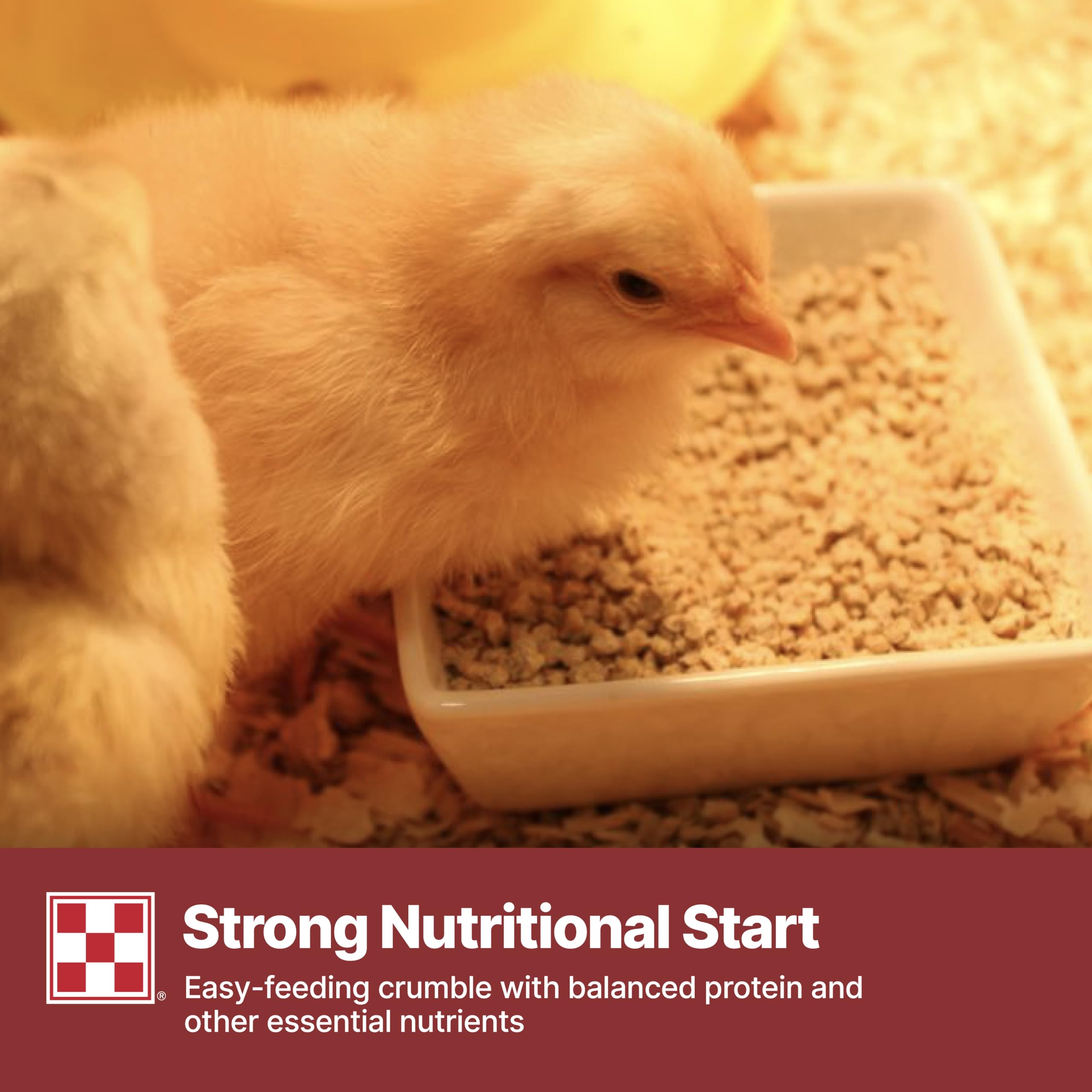 Purina Start & Grow: alimento completo sin necesidad de suplementos