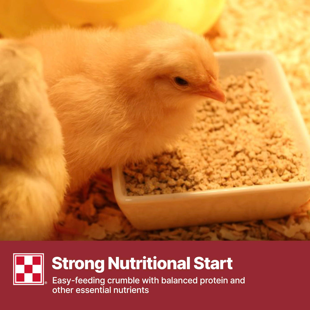 Purina Start & Grow: alimento completo sin necesidad de suplementos