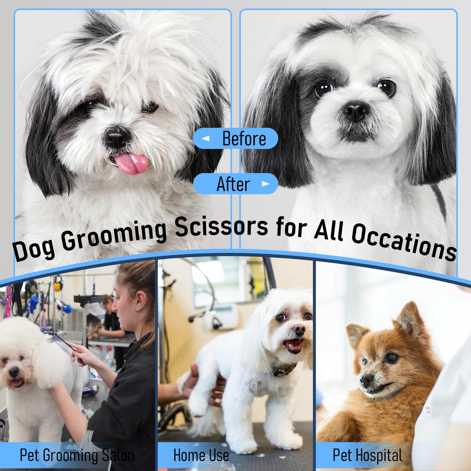 Purple Dragon kit completo de grooming para perros y gatos listo para viaje