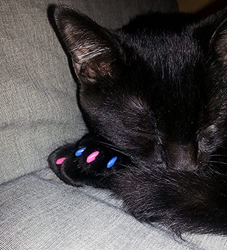 Azules con brillo para un toque decorativo y práctico para el hogar