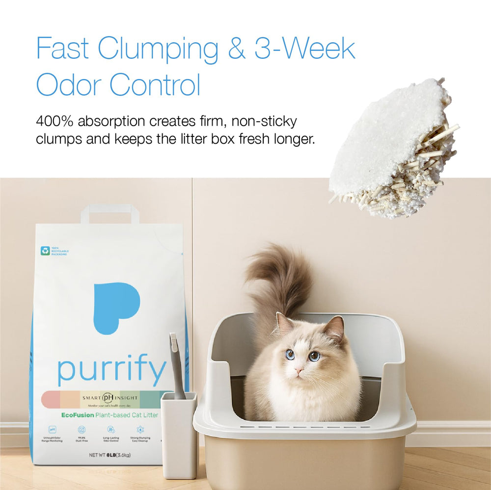 Purrify polvo reducido y menos rastros para un hogar limpio.