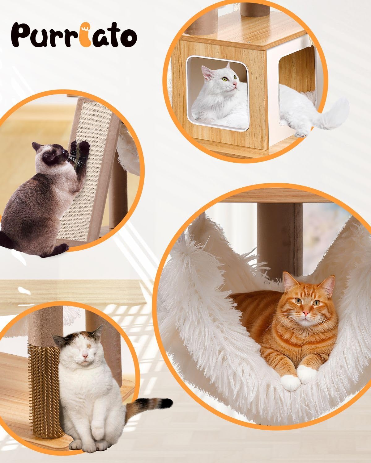 Purrlato ambiente-salon-con-gatos: solución decorativa y funcional para vivir espacios.