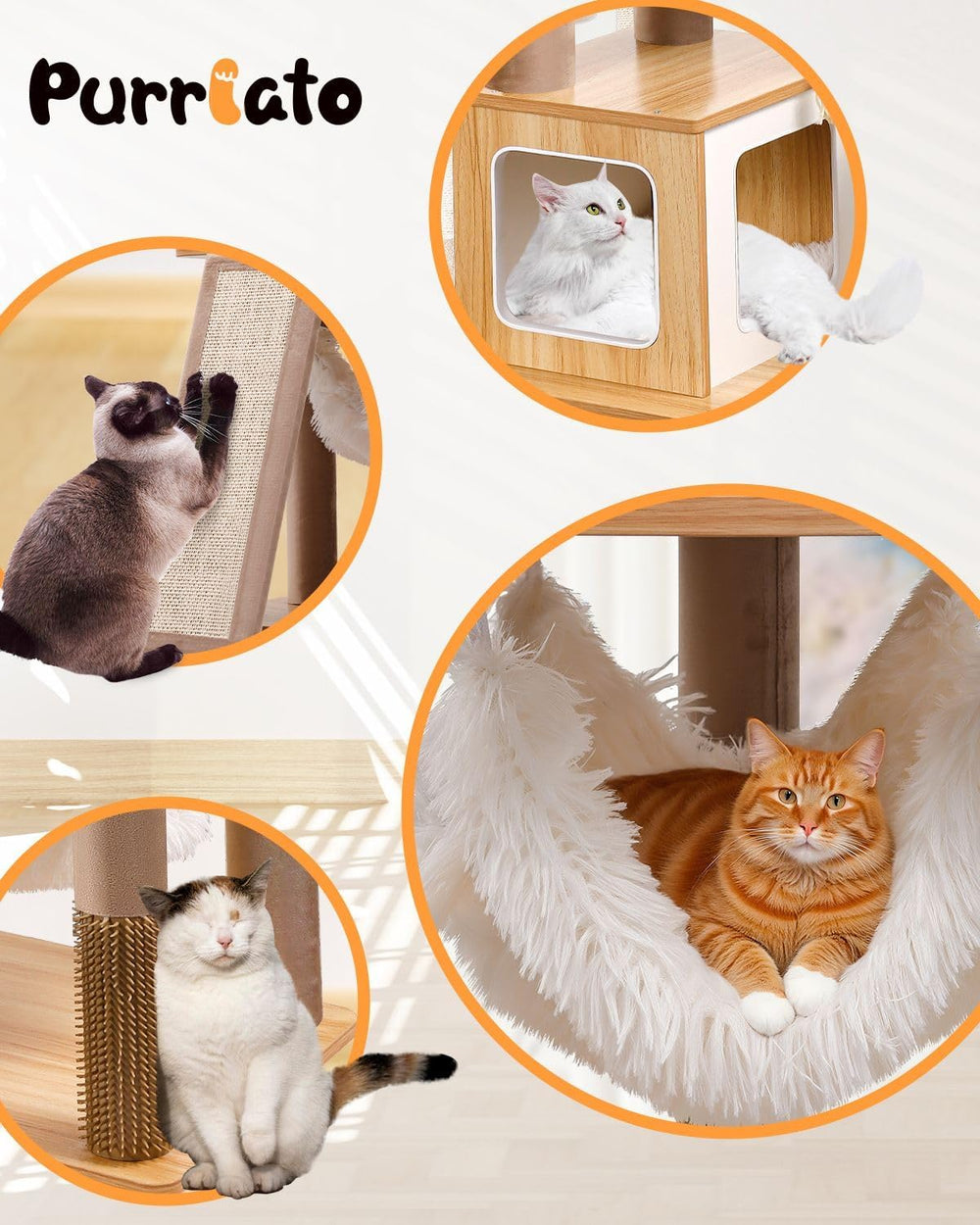 Purrlato ambiente-salon-con-gatos: solución decorativa y funcional para vivir espacios.