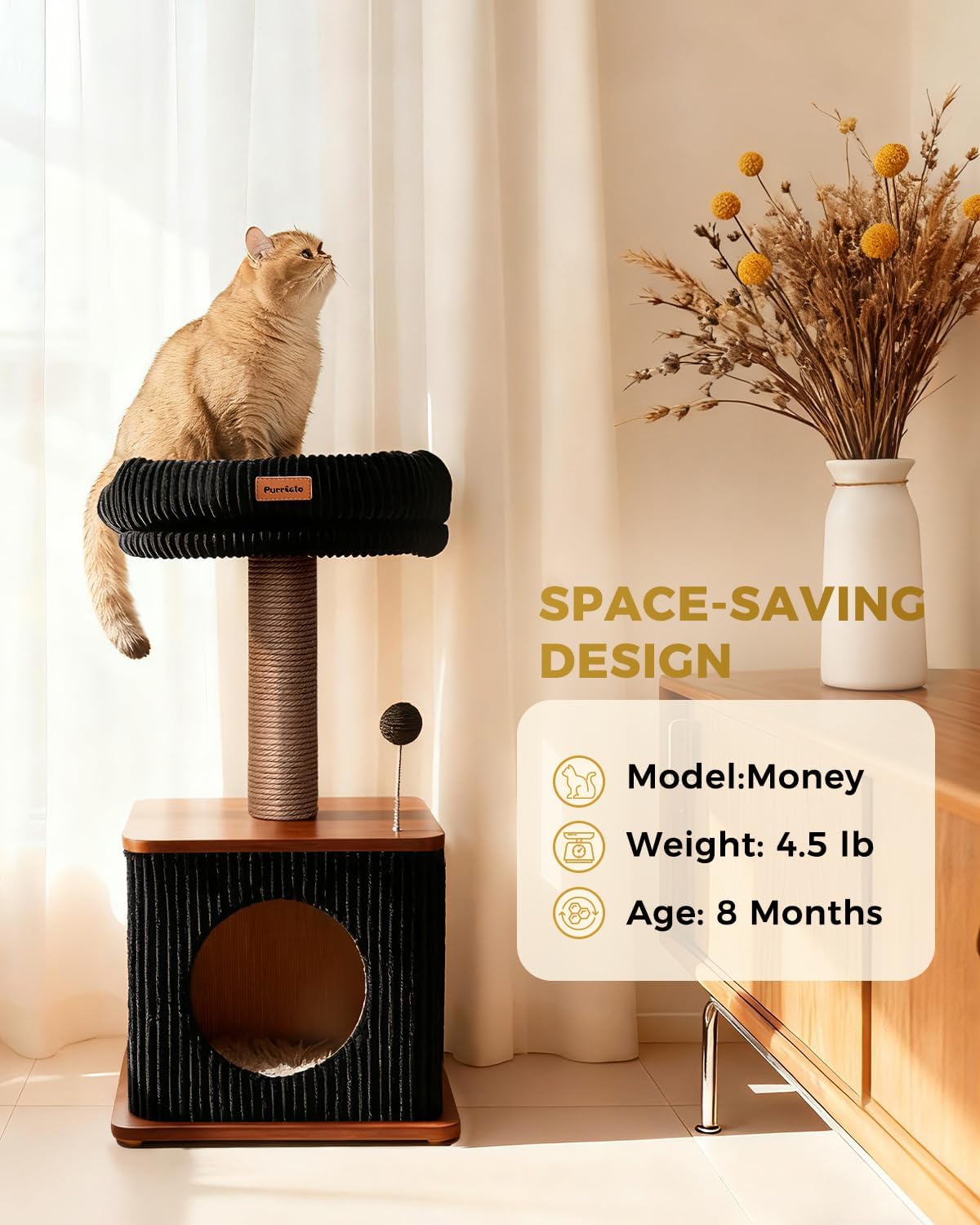 Purrlato diseño nórdico armoniza con tu sala y eleva la decoración