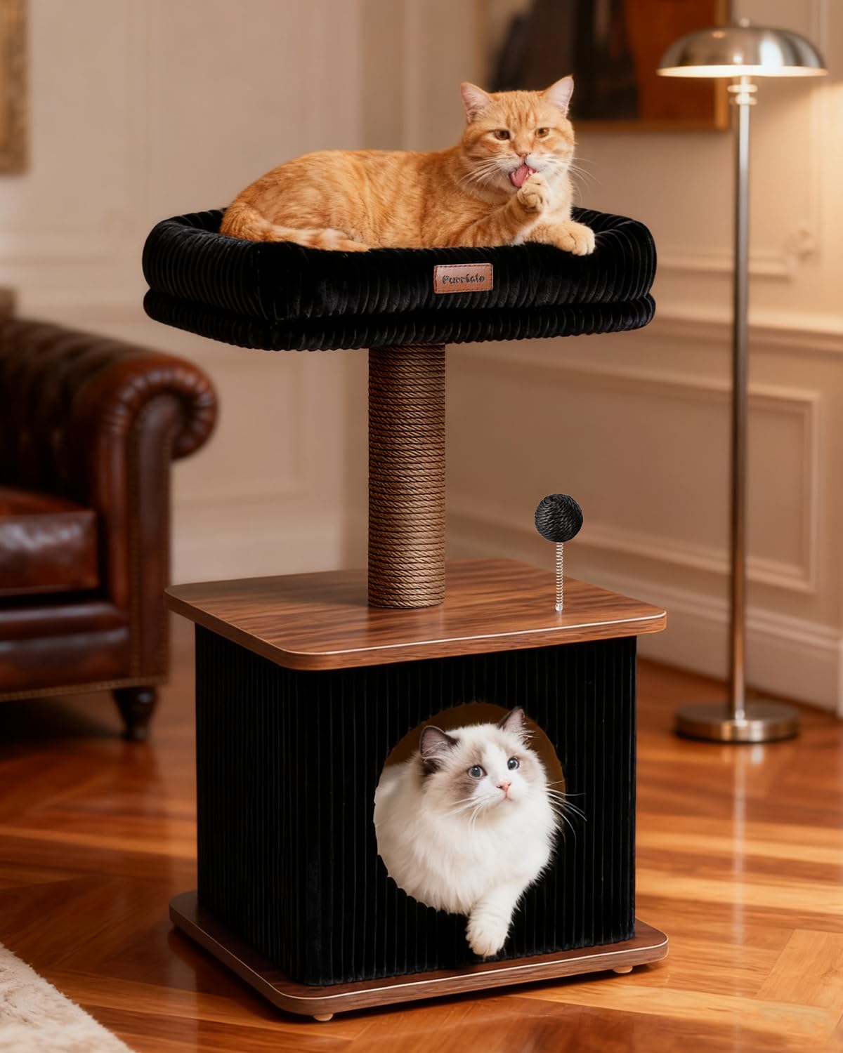 Purrlato árbol moderno con percha superior suave para descanso y observación