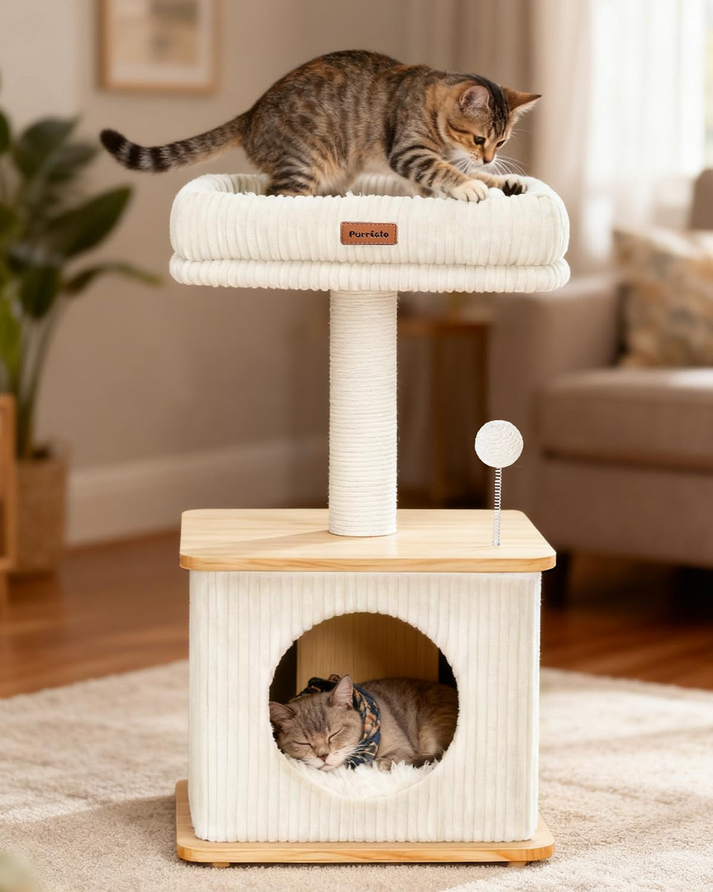 Purrlato Arbol Gatos: torre vertical invita a trepar y observar