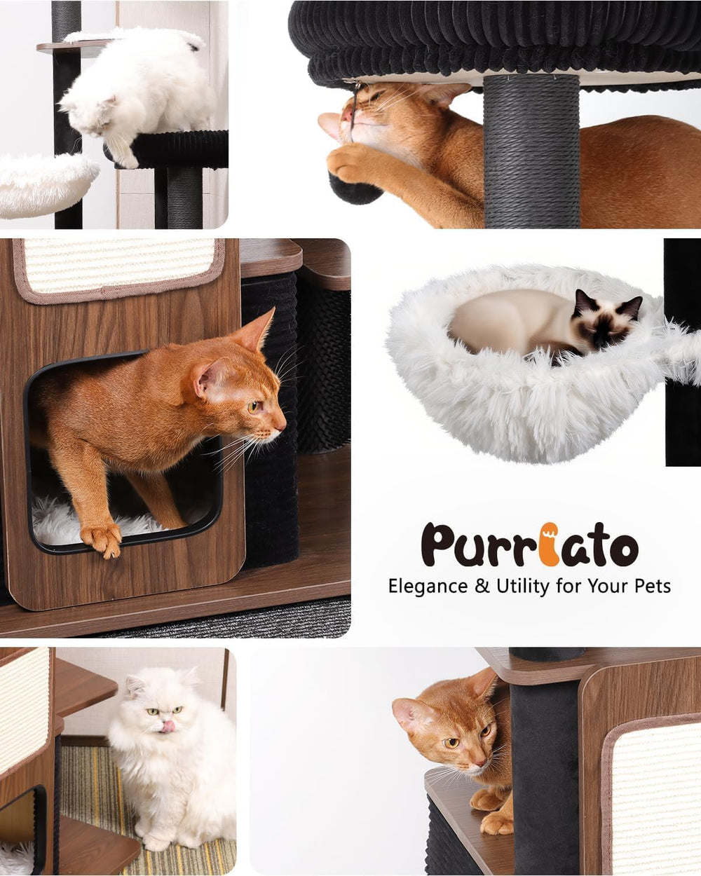 Purrlato torre gatos, instalación rápida con herramientas incluidas.