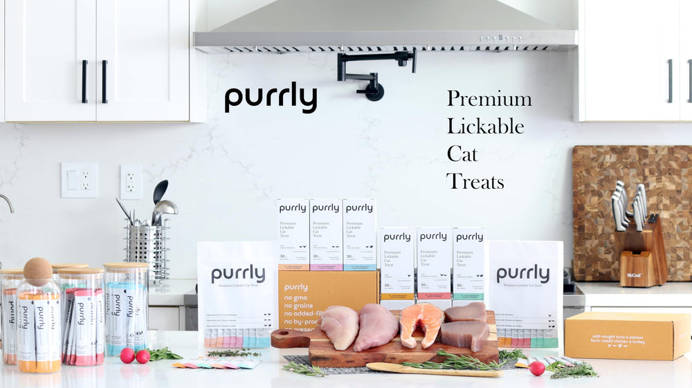 Purrly envase de 18 unidades para variedad en la dieta