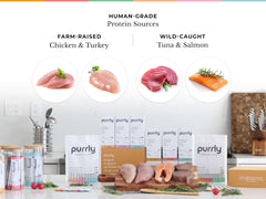 Purrly proteínas de grado humano para una experiencia gourmet