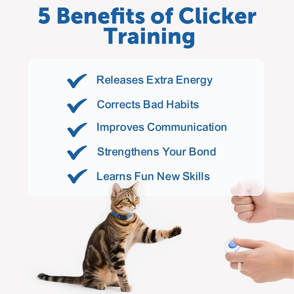 Clicker de dedo Purroro para entrenamiento progresivo y seguro.