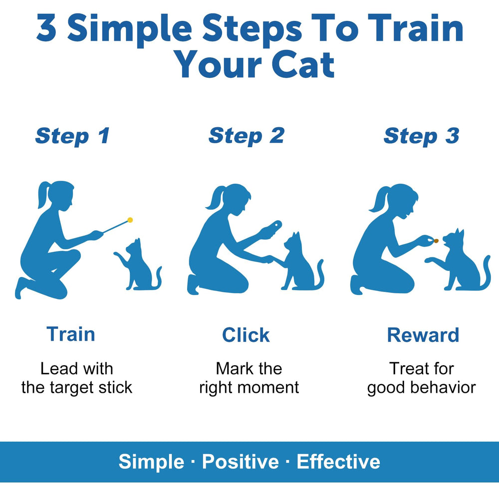 Gato interactuando con el kit Purroro para aprendizaje lúdico.