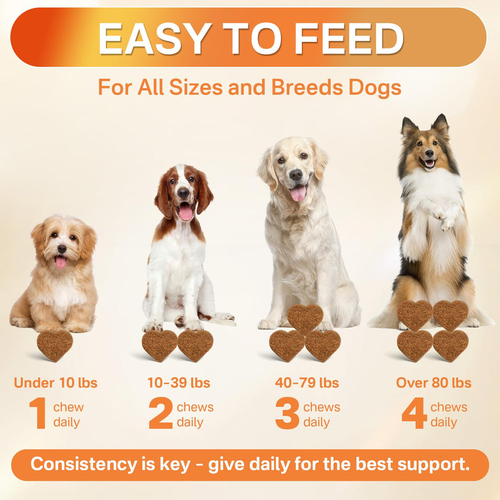 Puyrzoe tabletas para perro, digestión equilibrada y probióticos.