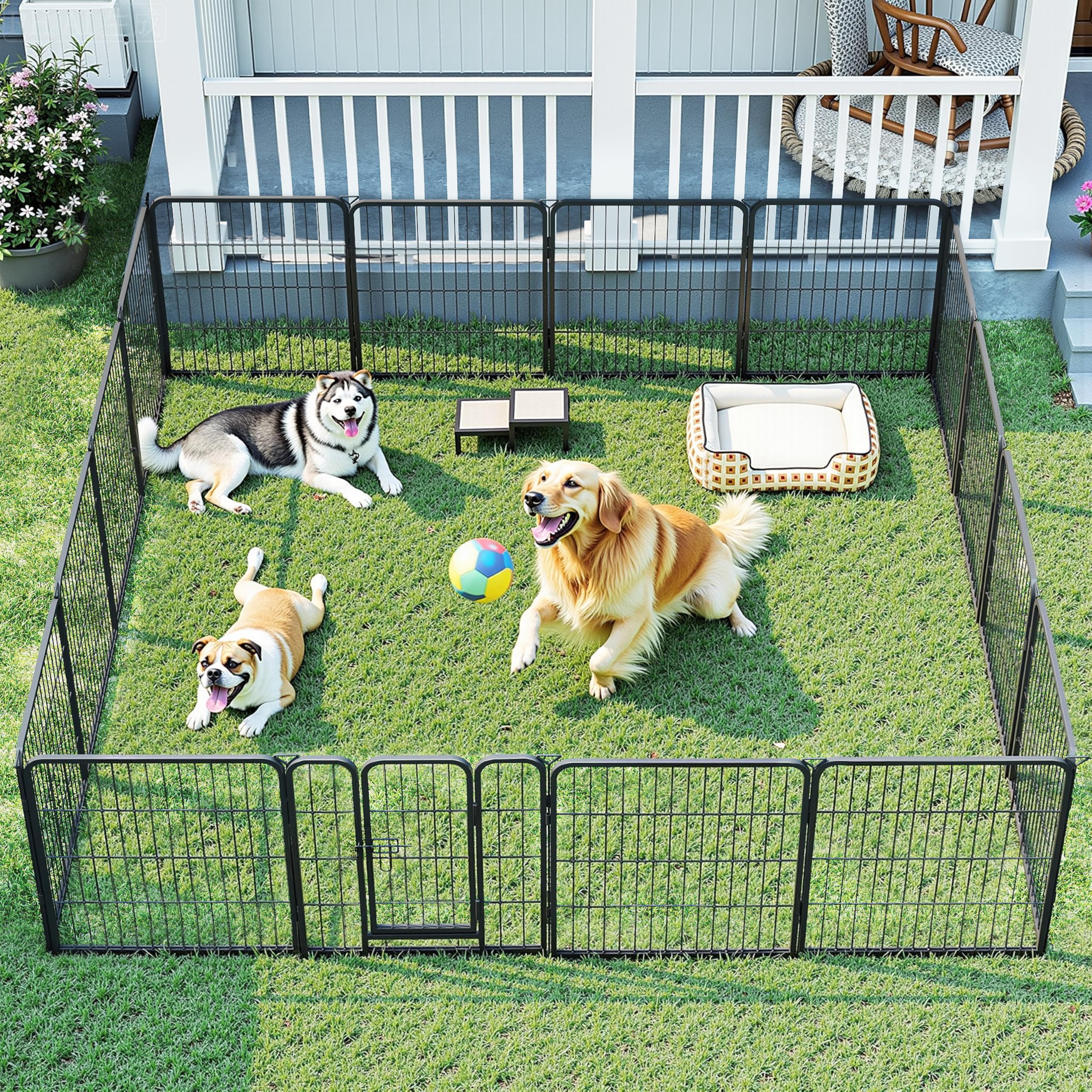 Pvpy Yvrd zona segura para entrenamiento y descanso de tu perro.