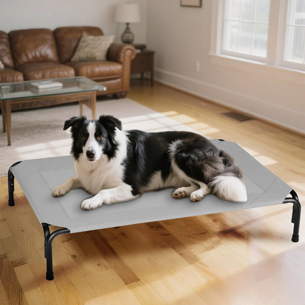 PVY cama resistente a mordiscos, apta para perros curiosos