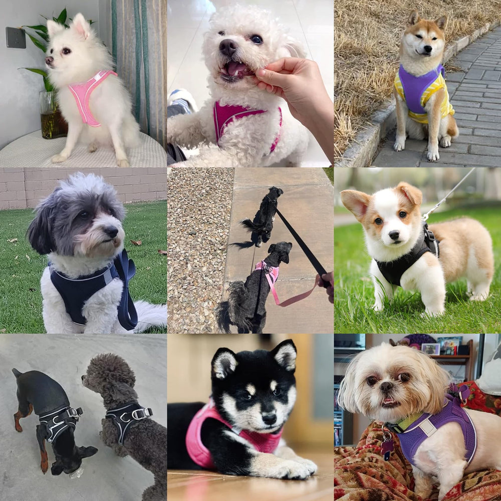 PWOD arnés perro diseño ergonómico ofrece confort durante cada paseo