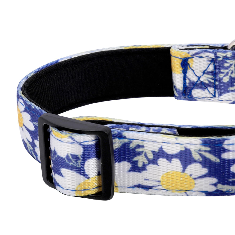 Collar PWOD ajustable con cierre rápido para facilitar colocación